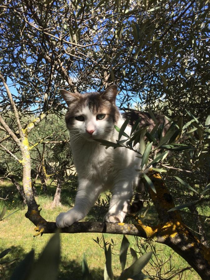 Le Verger Gordes Kültér fotó