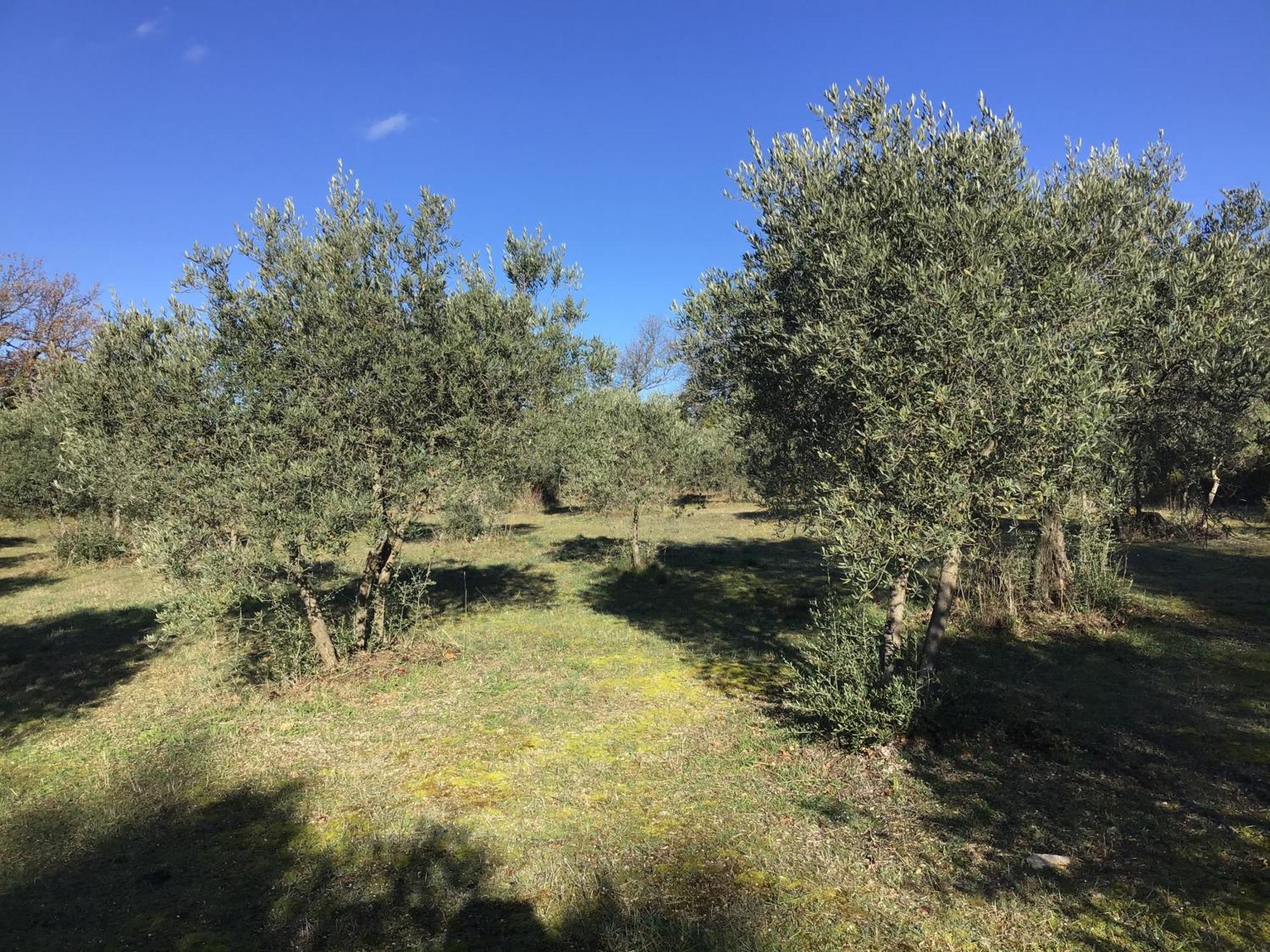 Le Verger Gordes Kültér fotó